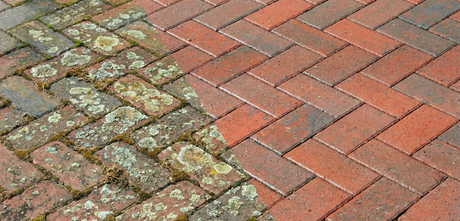 A side by side comparison of a patio that has been sealed versus one that has not been sealed