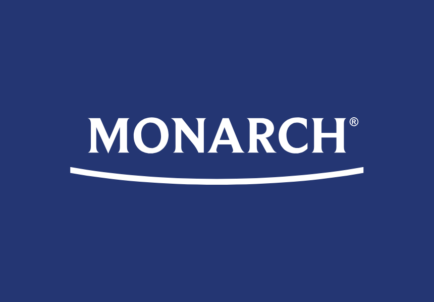 Monarch - Expertech Nytec Professional Wall Brush